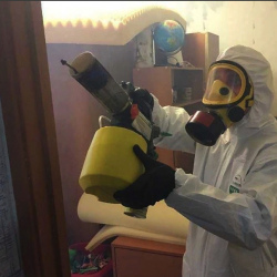 Уничтожение клопов в квартире. Струнино